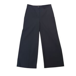 Ann Taylor Navy Wide Leg Pants